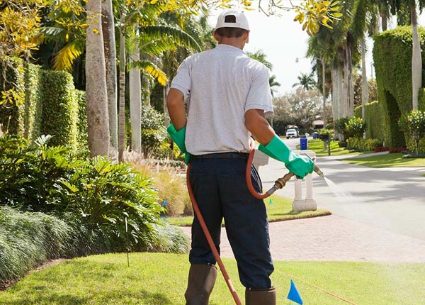 About Montgomery Creek CA Pest Control